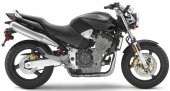 2005 Honda 919 / CB 900 F photo